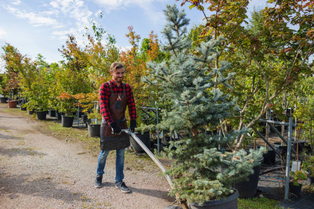 Mulching Services in Buffalo, MO